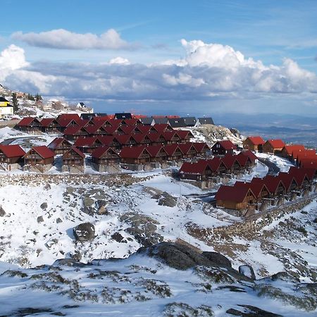 Luna Chalets Da Montanha - Serra Da Estrela Covilha Ngoại thất bức ảnh
