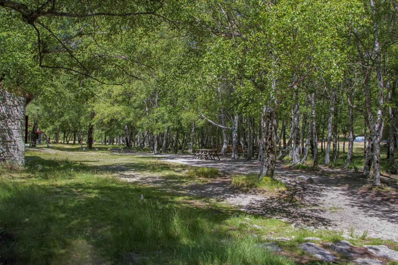 Luna Chalets Da Montanha - Serra Da Estrela Covilha Ngoại thất bức ảnh